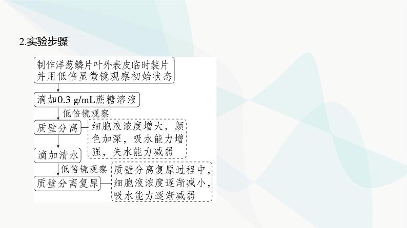 高考生物（山东专用）复习专题3细胞的物质输入和输出教学课件第5页