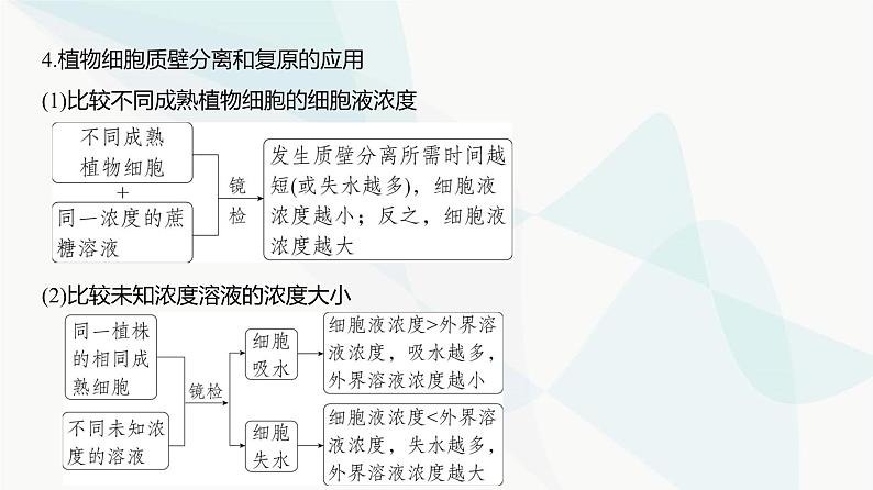 高考生物（山东专用）复习专题3细胞的物质输入和输出教学课件第7页