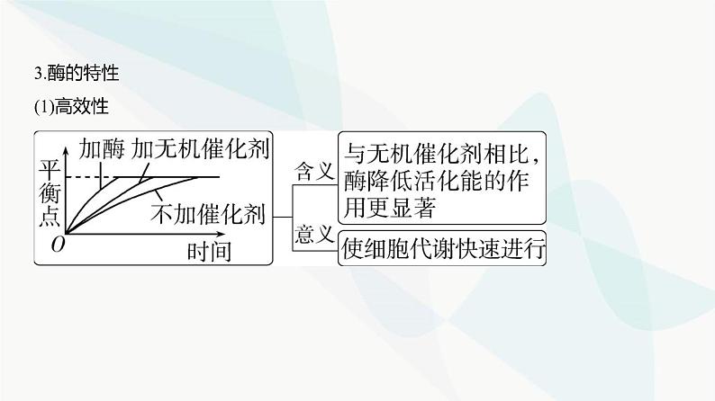 高考生物（山东专用）复习专题4酶与ATP教学课件04