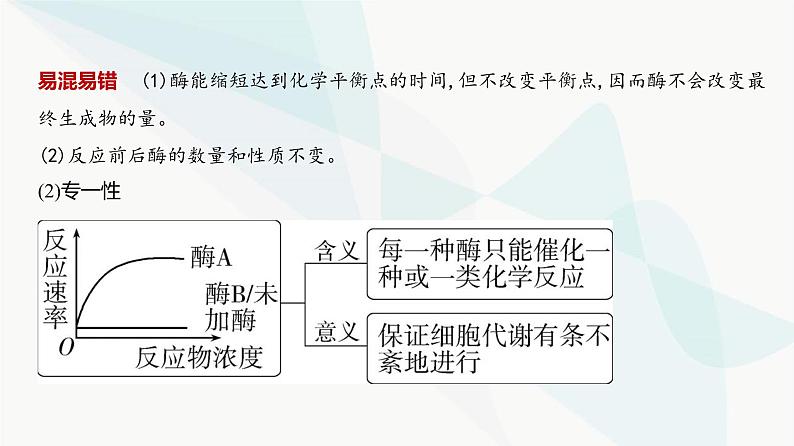 高考生物（山东专用）复习专题4酶与ATP教学课件05