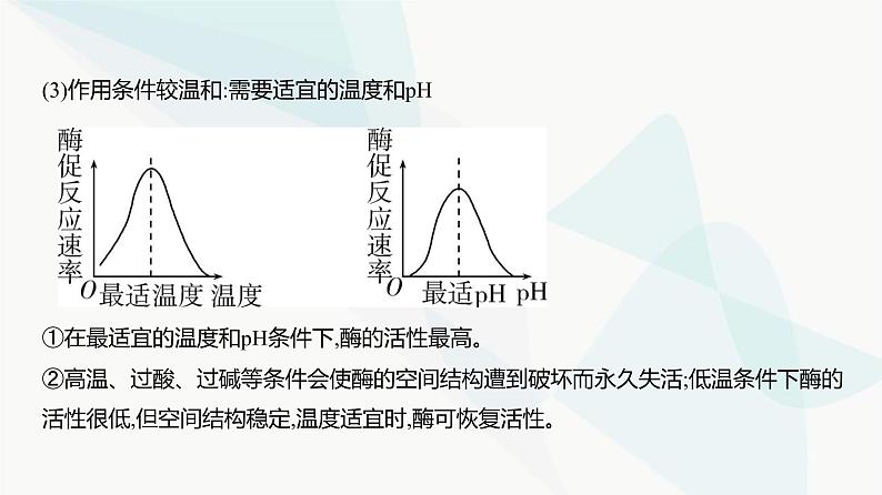 高考生物（山东专用）复习专题4酶与ATP教学课件07