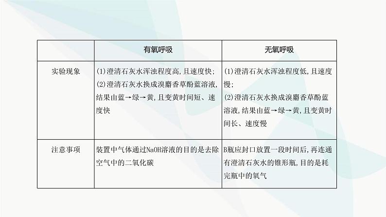 高考生物（山东专用）复习专题5细胞呼吸教学课件第3页