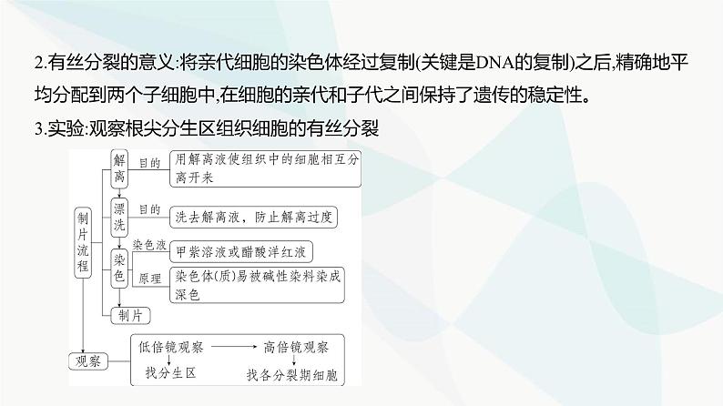 高考生物（山东专用）复习专题7细胞的生命历程教学课件第8页