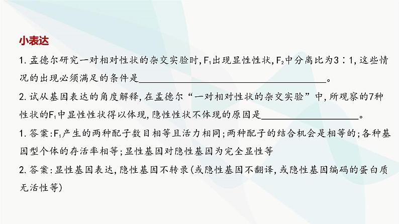 高考生物（山东专用）复习专题8分离定律和自由组合定律教学课件第4页