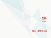 高考生物（山东专用）复习专题10遗传的分子基础教学课件