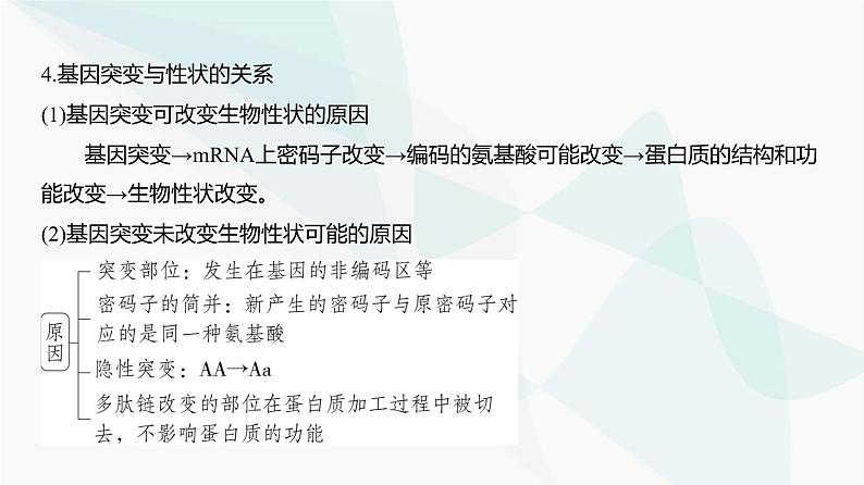 高考生物（山东专用）复习专题11生物的变异与进化教学课件06