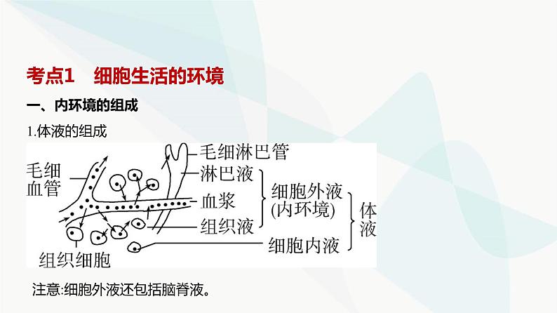 高考生物（山东专用）复习专题12人体的内环境与稳态教学课件第2页