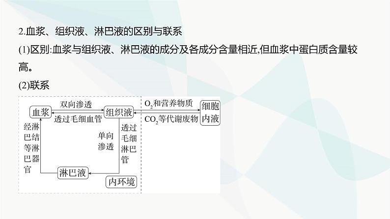 高考生物（山东专用）复习专题12人体的内环境与稳态教学课件第3页