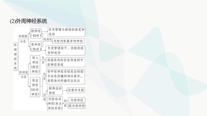 高考生物（山东专用）复习专题13神经调节教学课件03