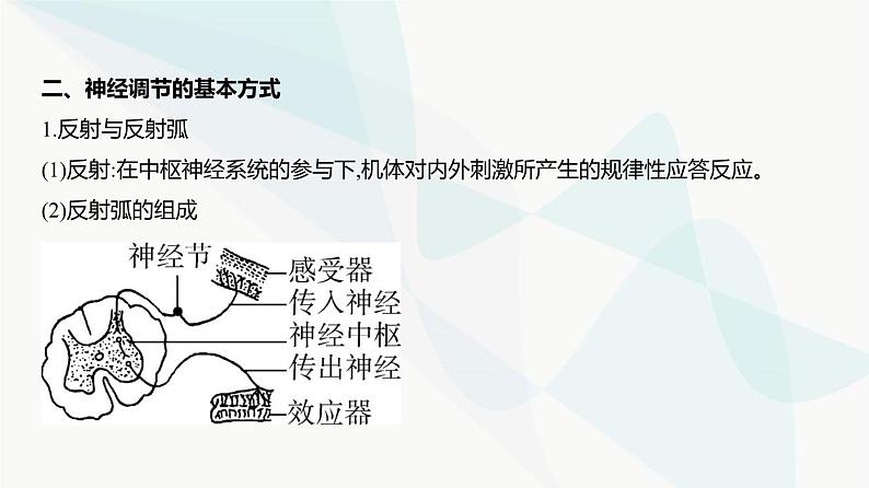 高考生物（山东专用）复习专题13神经调节教学课件06