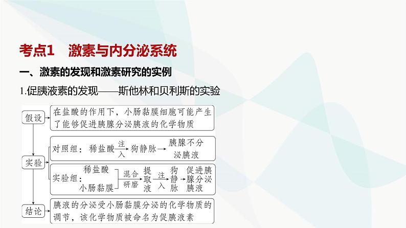 高考生物（山东专用）复习专题14体液调节教学课件02