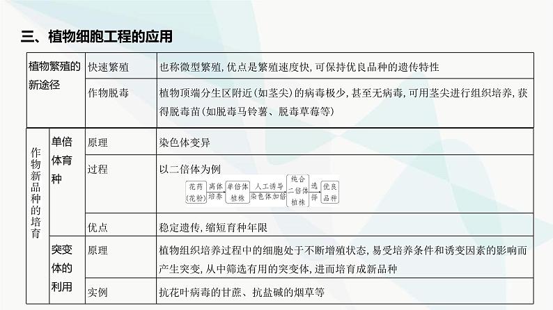 高考生物（山东专用）复习专题21细胞工程教学课件第6页