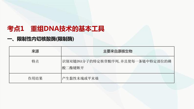 高考生物（山东专用）复习专题22基因工程教学课件02