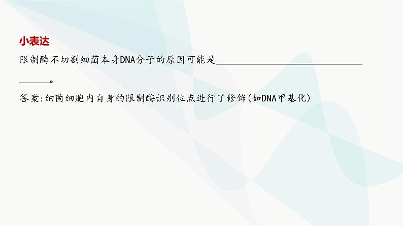 高考生物（山东专用）复习专题22基因工程教学课件04