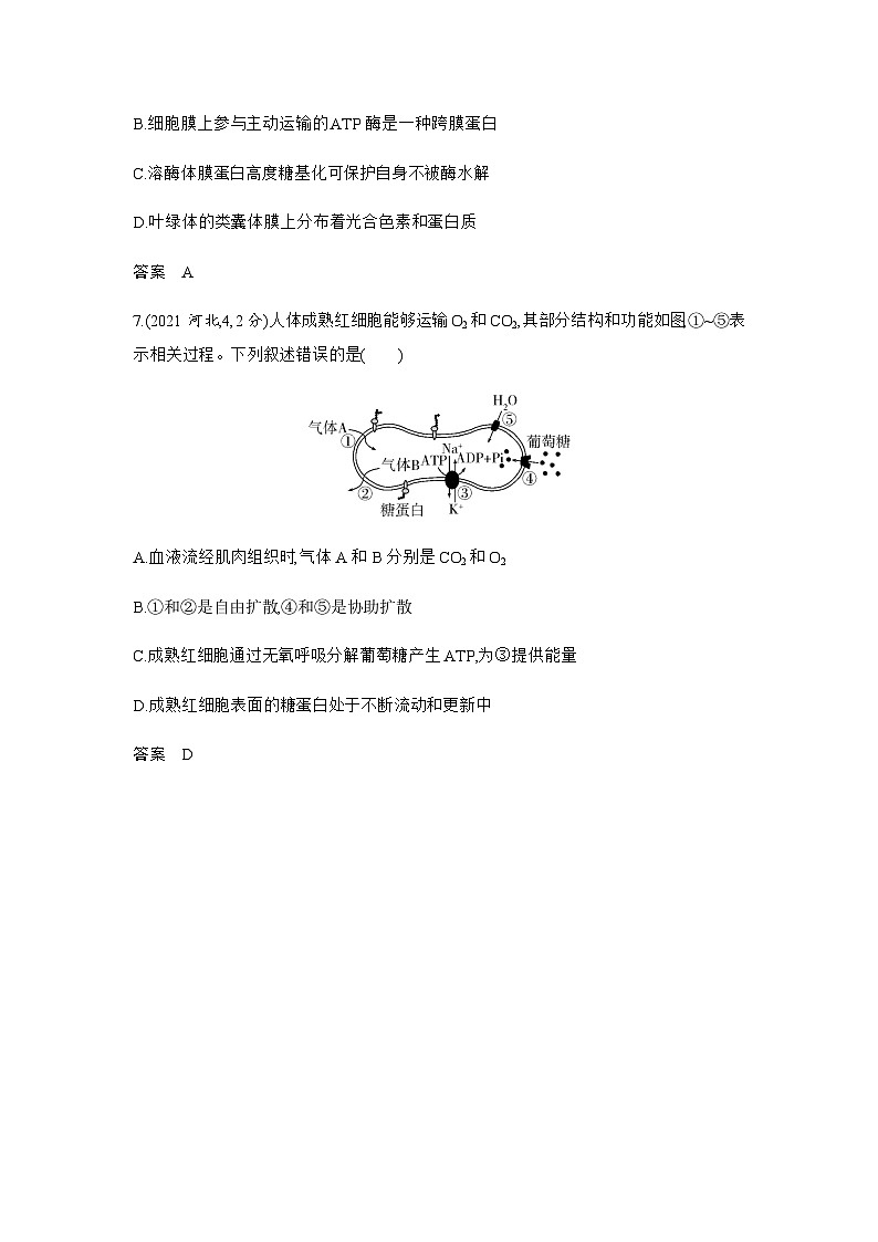 高考生物（山东专用）复习专题2细胞的结构与功能练习含答案第3页