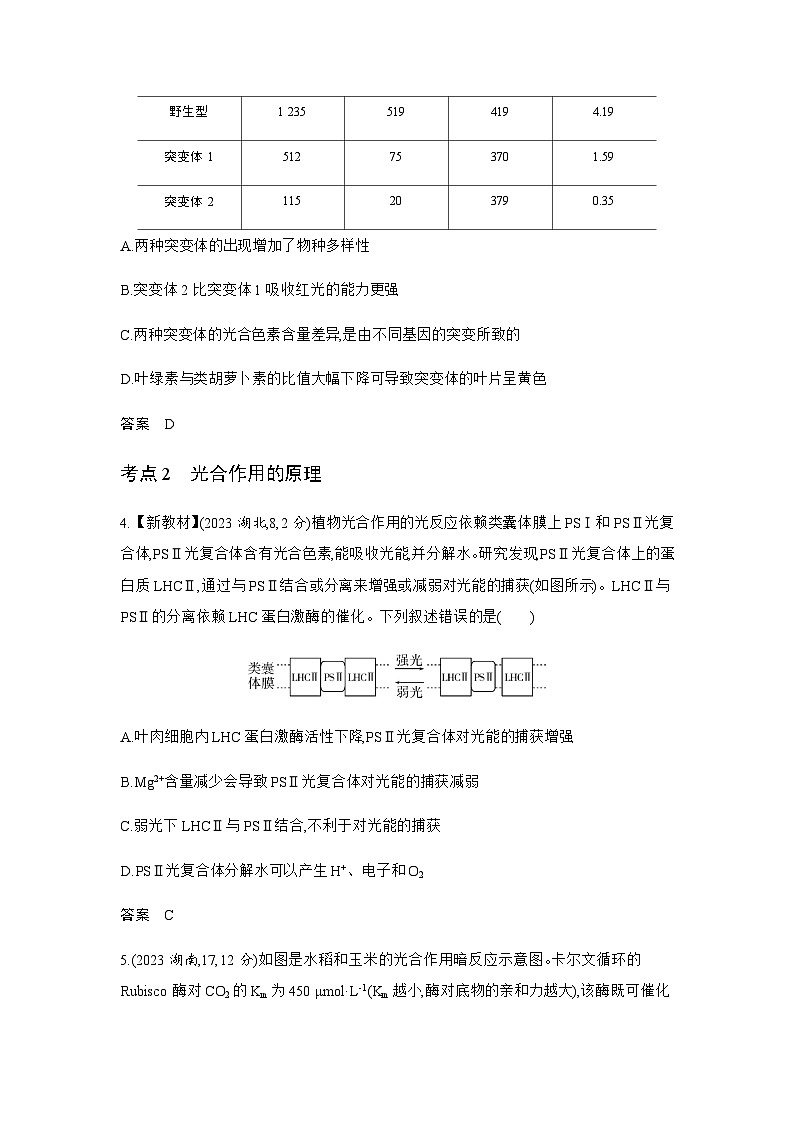 高考生物（山东专用）复习专题6光合作用练习含答案第2页