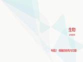 高考生物（山东专用）复习专题2细胞的结构与功能练习课件