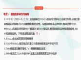 高考生物（山东专用）复习专题2细胞的结构与功能练习课件