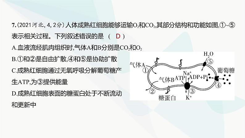 高考生物（山东专用）复习专题2细胞的结构与功能练习课件08