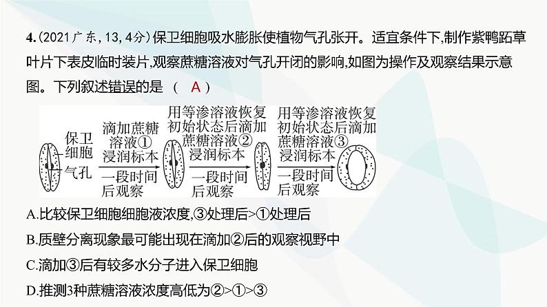 高考生物（山东专用）复习专题3细胞的物质输入和输出练习课件第5页