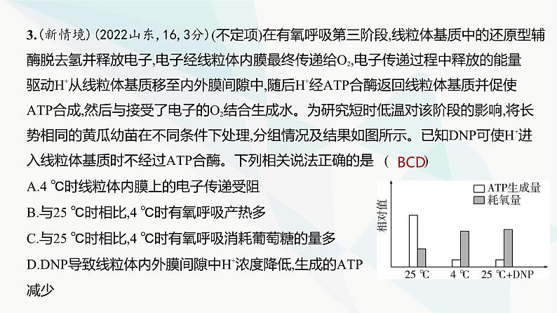 高考生物（山东专用）复习专题5细胞呼吸练习课件04