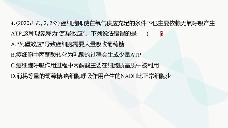 高考生物（山东专用）复习专题5细胞呼吸练习课件05