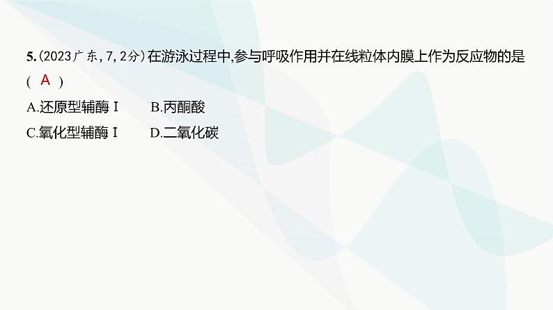 高考生物（山东专用）复习专题5细胞呼吸练习课件06