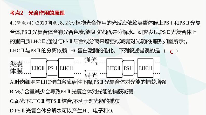 高考生物（山东专用）复习专题6光合作用练习课件05