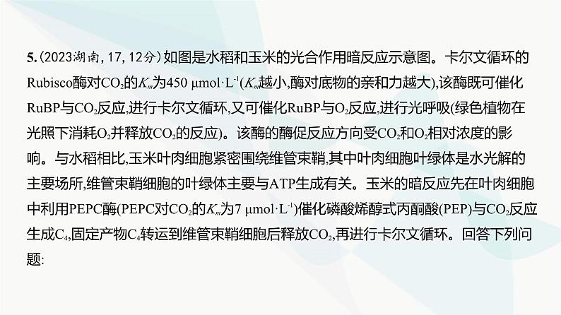 高考生物（山东专用）复习专题6光合作用练习课件06