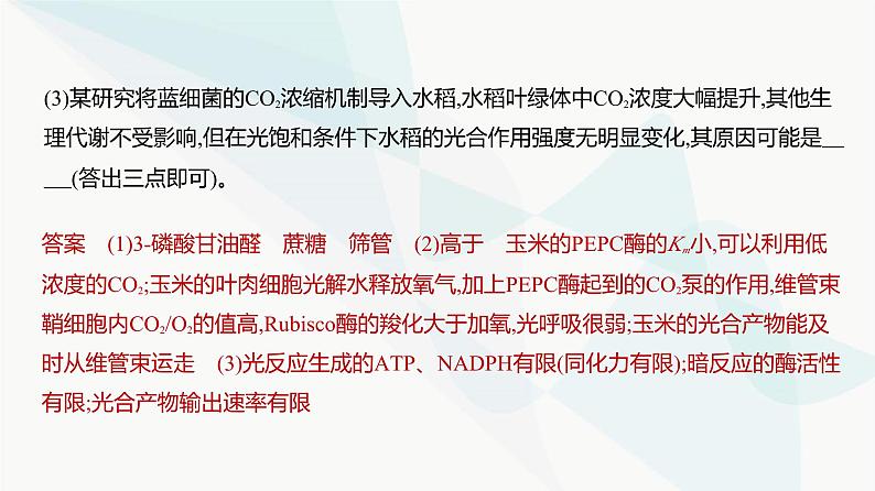 高考生物（山东专用）复习专题6光合作用练习课件08