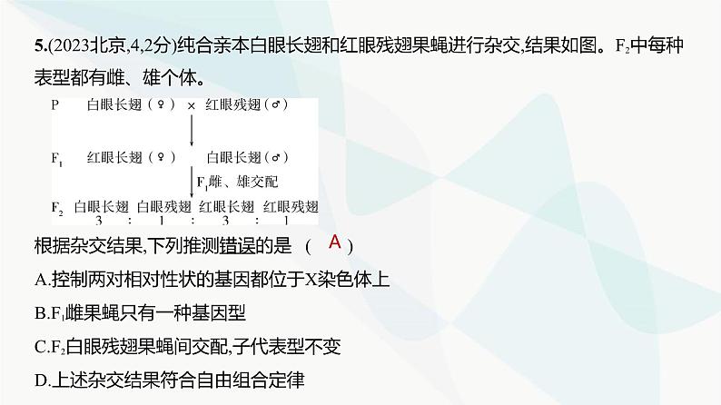 高考生物（山东专用）复习专题9伴性遗传与人类遗传病练习课件06