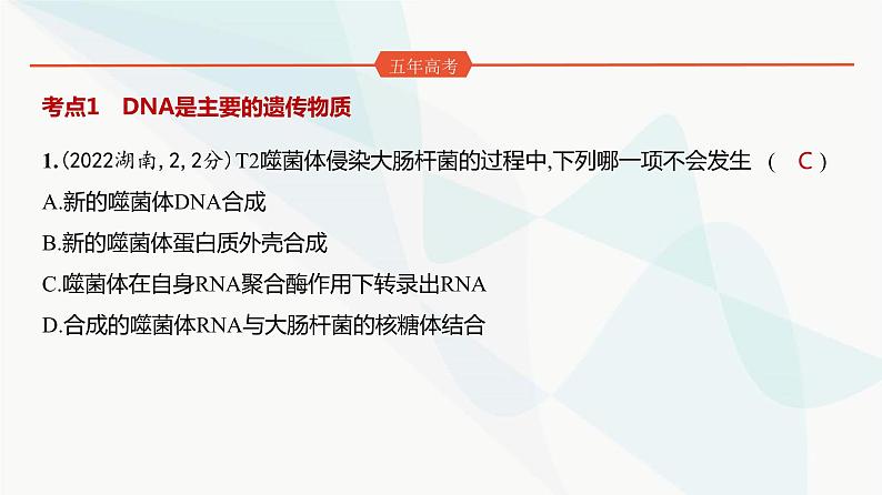 高考生物（山东专用）复习专题10遗传的分子基础练习课件02