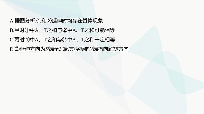 高考生物（山东专用）复习专题10遗传的分子基础练习课件05