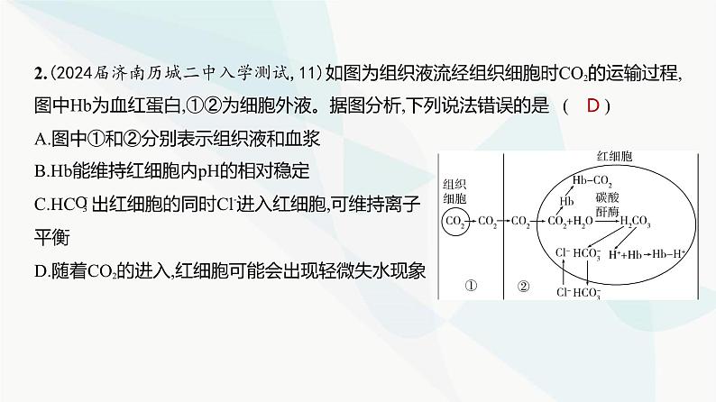 高考生物（山东专用）复习专题12人体的内环境与稳态练习课件第8页