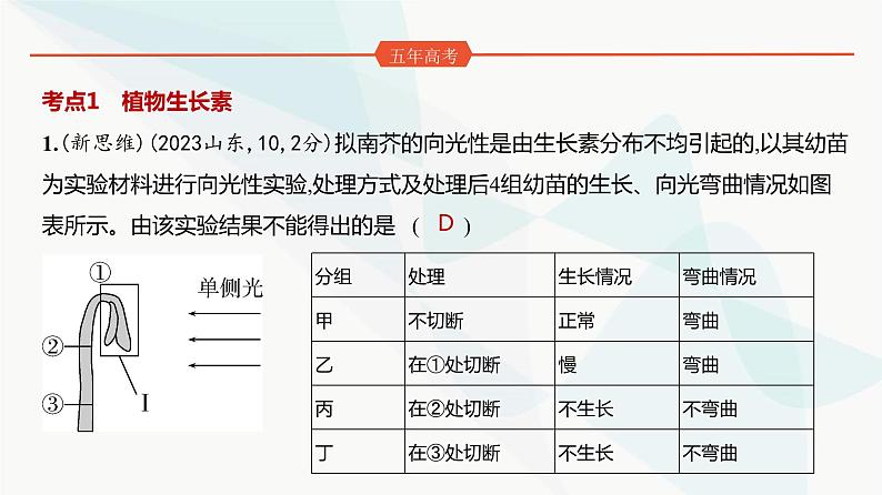 高考生物（山东专用）复习专题16植物生命活动的调节练习课件第2页