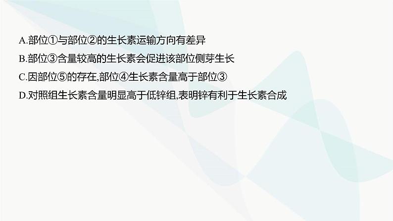 高考生物（山东专用）复习专题16植物生命活动的调节练习课件第6页