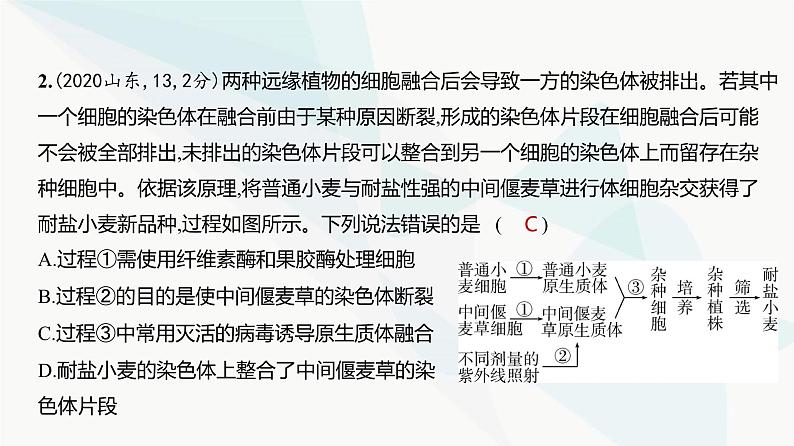 高考生物（山东专用）复习专题21细胞工程练习课件第3页