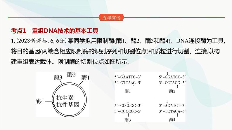 高考生物（山东专用）复习专题22基因工程练习课件02