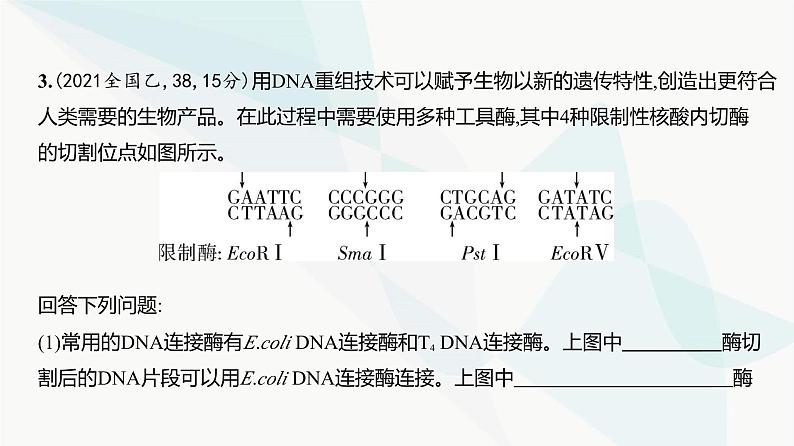 高考生物（山东专用）复习专题22基因工程练习课件05