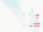 高考生物（山东专用）总复习阶段检测练必修2遗传与进化课件