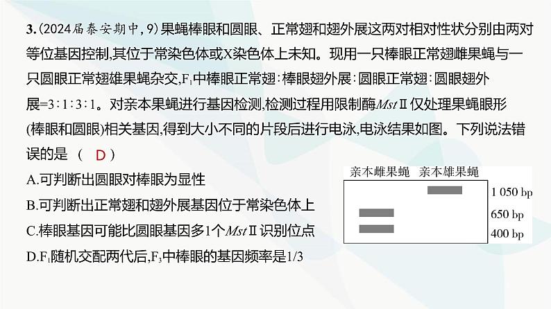 高考生物（山东专用）总复习阶段检测练必修2遗传与进化课件第4页