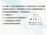 高考生物（山东专用）总复习阶段检测练必修2遗传与进化课件