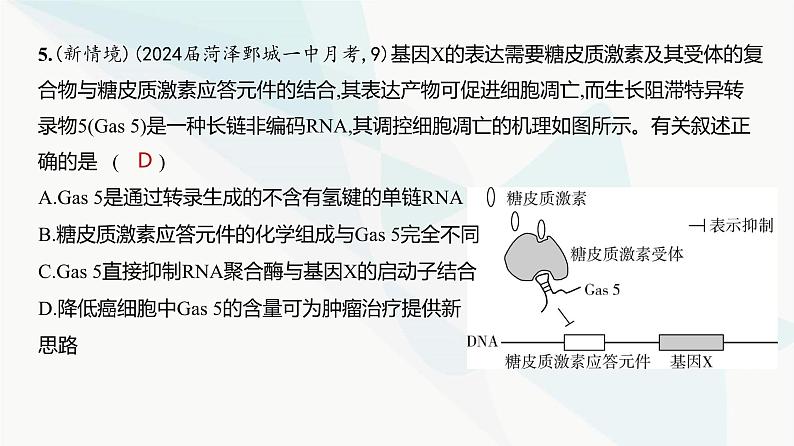 高考生物（山东专用）总复习阶段检测练必修2遗传与进化课件第6页