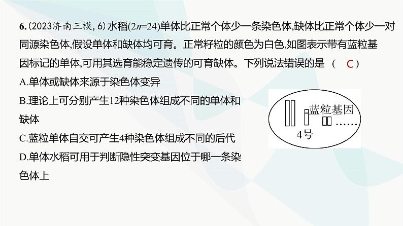 高考生物（山东专用）总复习阶段检测练必修2遗传与进化课件第7页