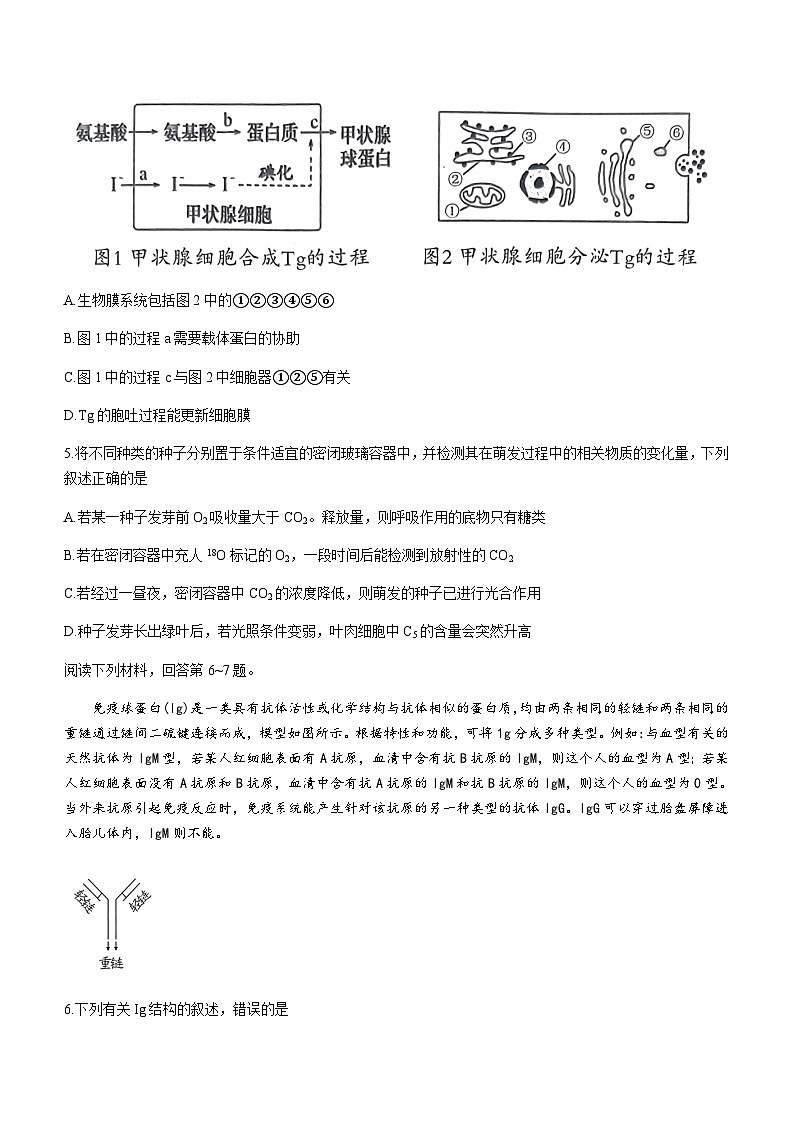 2023届湖北省八市高三（3月）联考生物试题及答案第3页