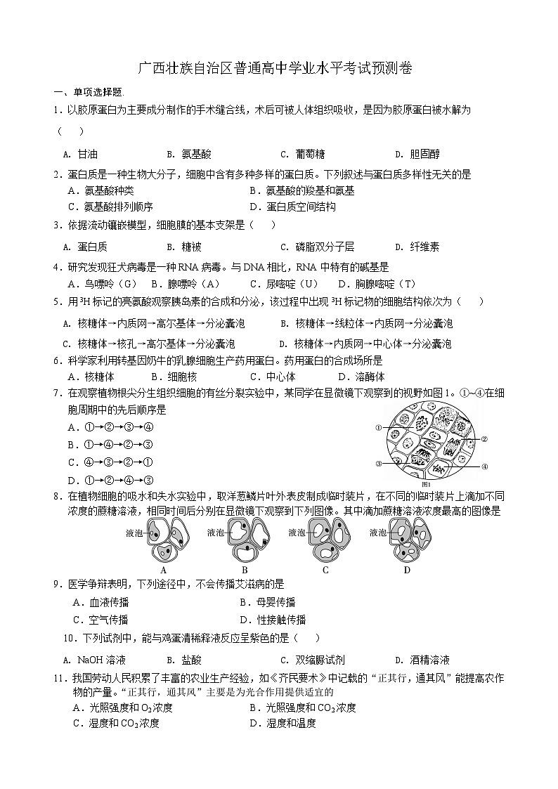 广西壮族自治区普通高中学业水平考试预测卷（无答案）01
