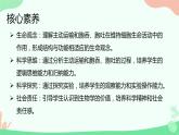 【核心素养】人教版高中生物必修一4.2《主动运输与胞吞、胞吐》课件＋课时练习＋教案（含教学反思）