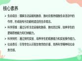【核心素养】人教版高中生物必修一4.2《主动运输与胞吞、胞吐》课件＋课时练习＋教案（含教学反思）