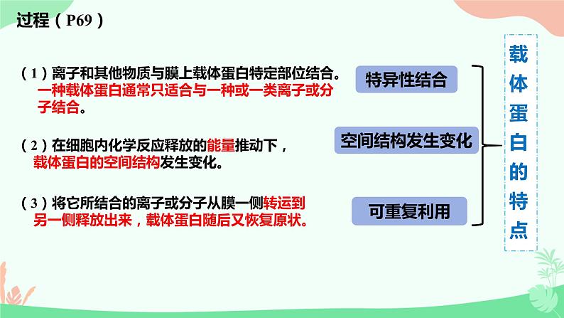 【核心素养】人教版高中生物必修一4.2《主动运输与胞吞、胞吐》课件＋课时练习＋教案（含教学反思）07