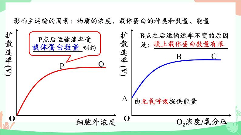 【核心素养】人教版高中生物必修一4.2《主动运输与胞吞、胞吐》课件＋课时练习＋教案（含教学反思）08